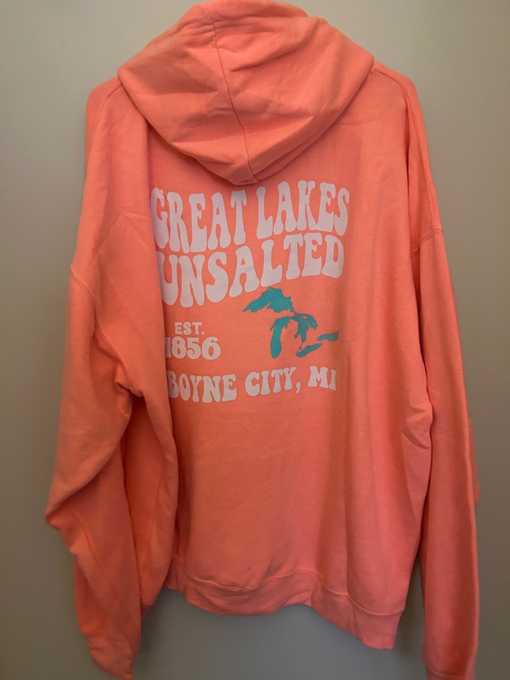 Great Lakes Unsalted Coral Pullover Hoodie for Women - Picture 5 of 5